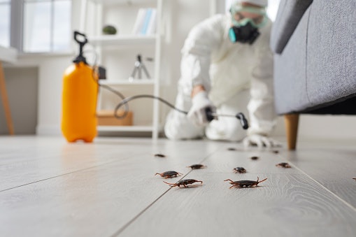 Sprays: Best for Quick Action Against Visible Roaches