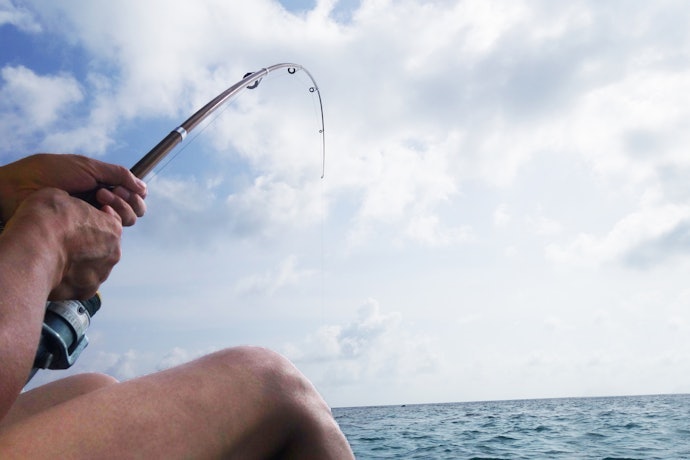 Choose the Rod Power Based on Your Target Fish
