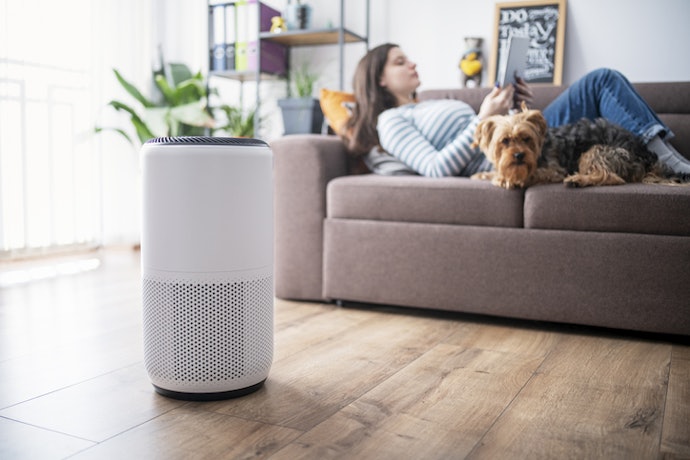 Electrostatic Filters Trap Allergens Like Dust, Pet Dander, or Mold