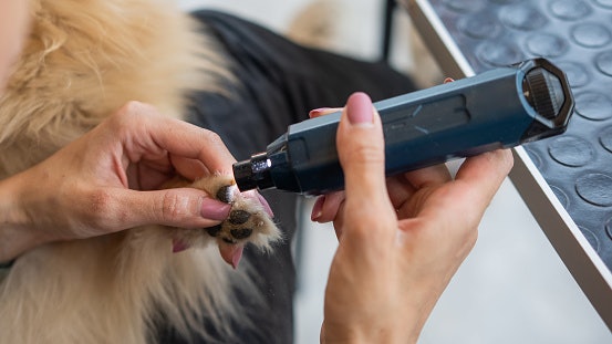 Nail Grinders Are A Gentle Option for Cats Afraid of Clippers
