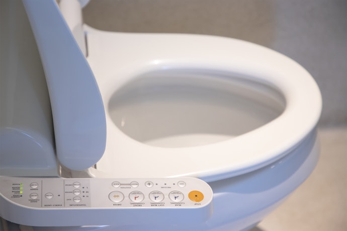 Electrical Bidet Seat for a More Luxurious Experience
