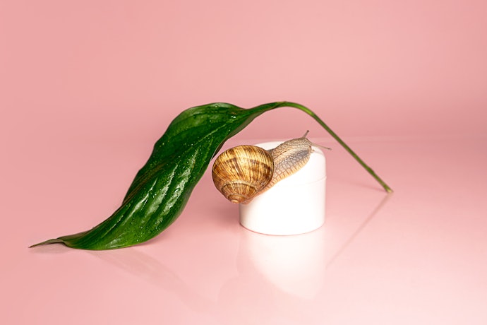Snail Mucin Eases Redness and Irritation
