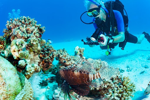 Go for 12–20 MP or Higher for Clear, Detailed Underwater Photos
