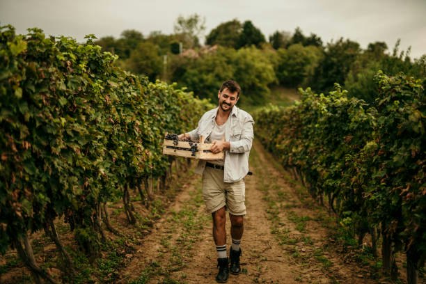 A Note on the Climate: The Cooler the Climate, the Lighter the Wine