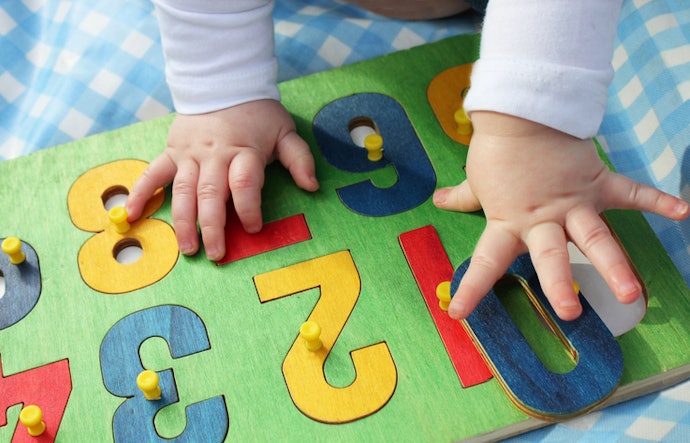 For Toddlers Aged 1–3: Go for Chunky or Knob Puzzles With 1–3 Pieces