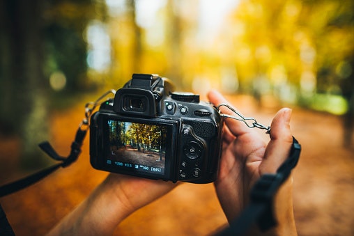 Nikon DSLR (D Series): Better Battery Life and Lower Prices for Beginners and Hobbyists