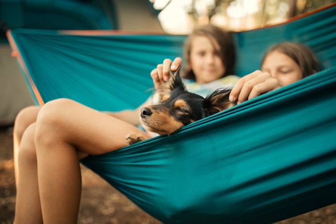 Camping Hammocks Are Best for Outdoor Adventures