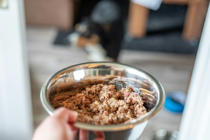 Consider Mixing Wet and Dry Food for a Balanced Diet