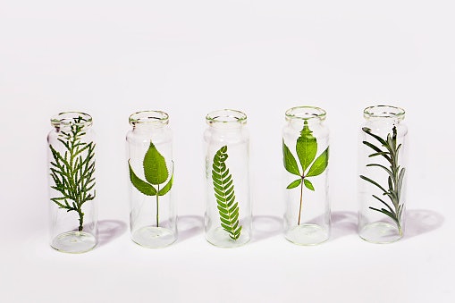 Herbal Extracts Provide Antioxidants While Facilitating Hair Growth