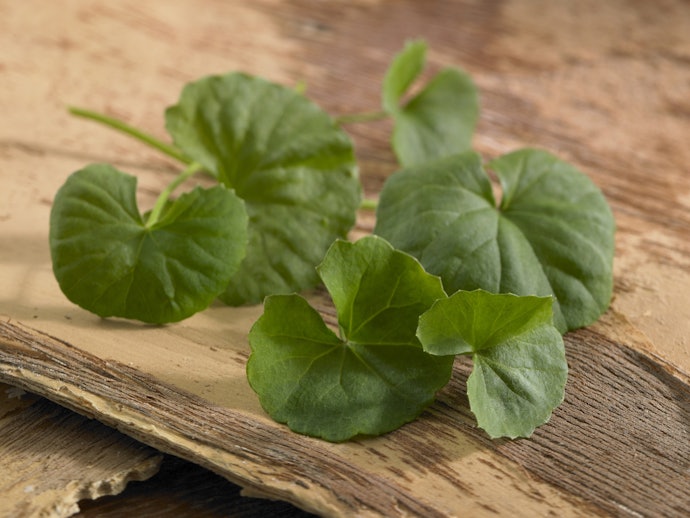 Opt for Moisturizing Ingredients That Won't Aggravate Your Skin
