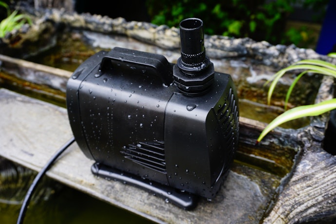 For Standard Planted Tanks, Go for a Submersible Pump