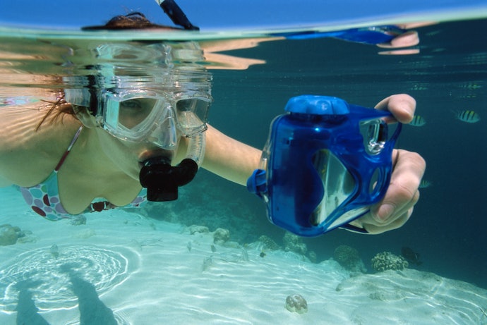 Compact Cameras Are Versatile and Easy to Use