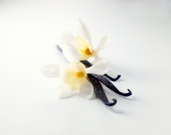 Vanilla Extracts Are a Great Source of Antioxidants
