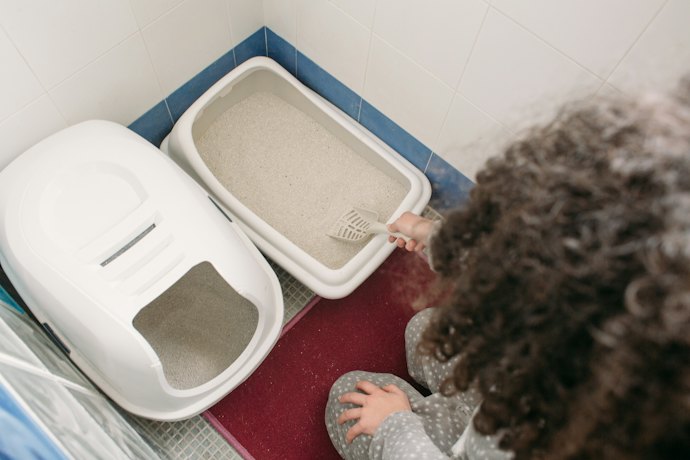 Non-Clumping Cat Litter: Lower Cost and Simpler Daily Routine