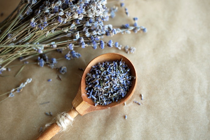 For Hydration and Skin Renewal: Plant-Derived Antioxidants, Essential Oils, and Extracts