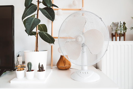 10 Best Electric Fans in the Philippines 2026 | Xiaomi, Panasonic, and ...