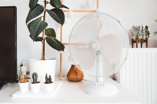 Air Purifiers and Ionizers Can Make the Air You Breathe Cleaner