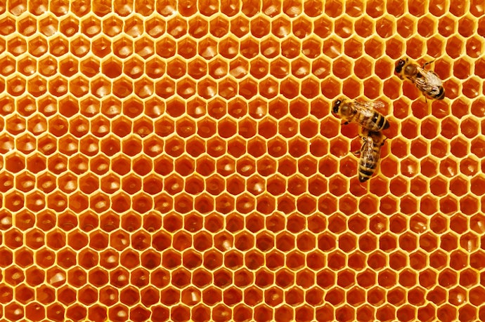 Wild Honey for a Rich, Complex Flavor Profile