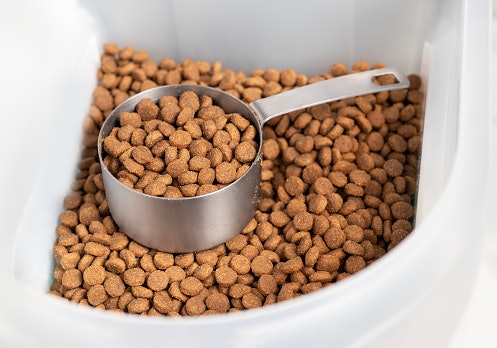 Dry Kibble for Crunchy Texture, Easy Storage, and Dental Support
