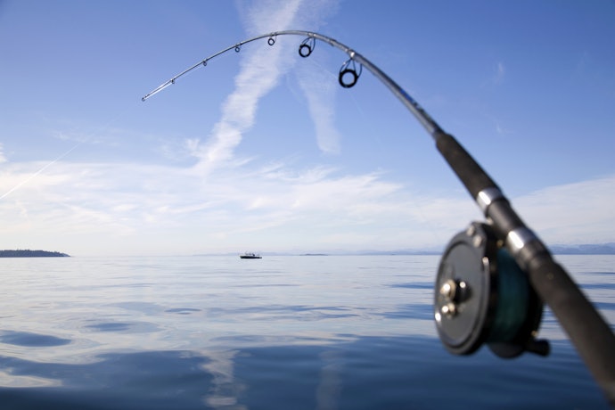 Fiberglass Rods Are Durable and Budget-Friendly