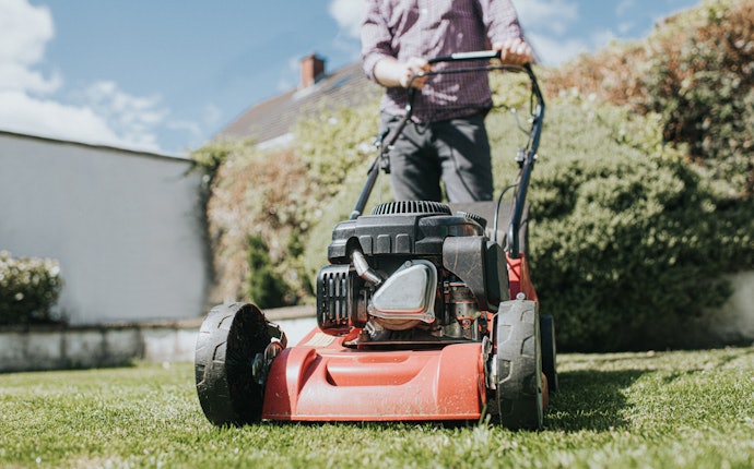For Large Lots or Overgrown Areas: Choose a Gas-Powered Grass Cutter