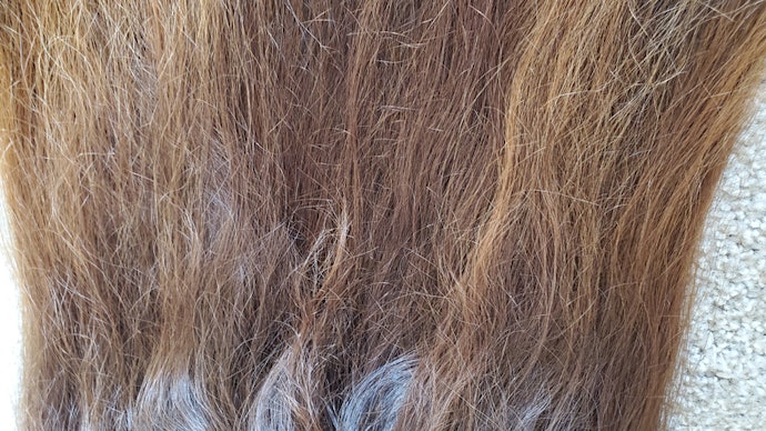 High-Porosity Hair: Choose Rich, Reparative Masks and Protein Treatments