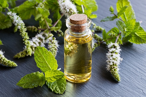 Peppermint Gives Your Skin a Cooling Sensation