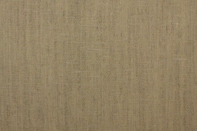 Canvas for a Thick and Durable Shoe