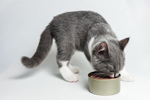 Vitamins and Minerals Aid the Development of Different Body Functions