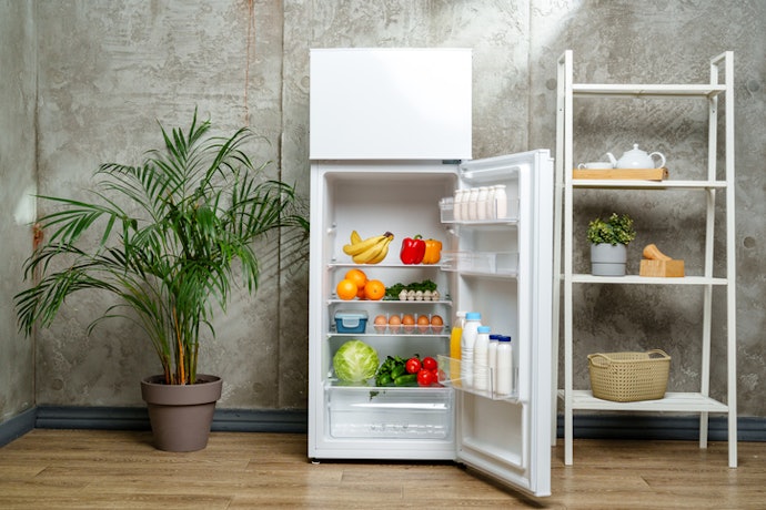 Single-Door Refrigerators Are Practical for Small Households and Limited Spaces
