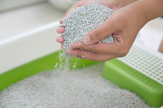 Clay Litter: Fast Absorption and Excellent Odor Control but More Dust