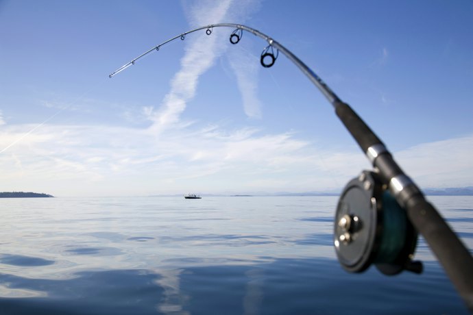 Fiberglass Rods Are Durable and Budget-Friendly