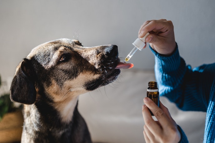 Avoid Antibiotics Unless They Are Prescription-Based