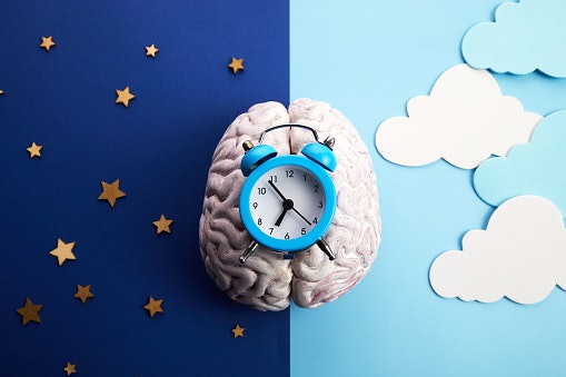 Melatonin or L-Tryptophan Help Regulate Your Sleep-Wake Cycle