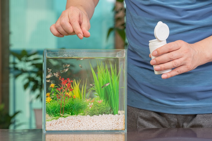 For Experienced Hobbyists: Consider 5–10 Gallon Nano Tanks