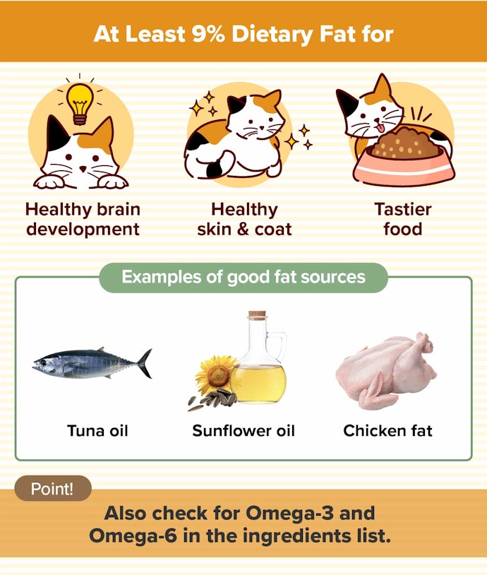 Look for Kitten Foods With Fat From Fish, Sunflower, or Chicken Oil