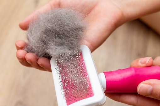 Easy-to-Clean Brushes Save Time and Keep Your Tools Hygienic