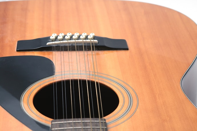 12-String: Best for Experienced Players