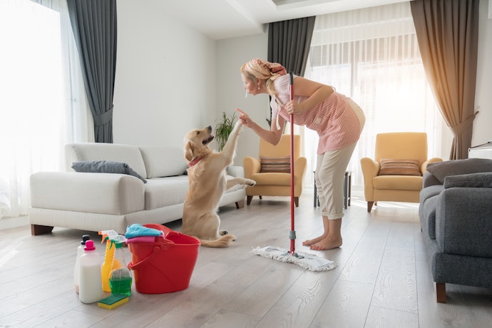 For Bigger Breeds and Senior Dogs, Select Large Pads That Are About 64 x 64 cm in Size