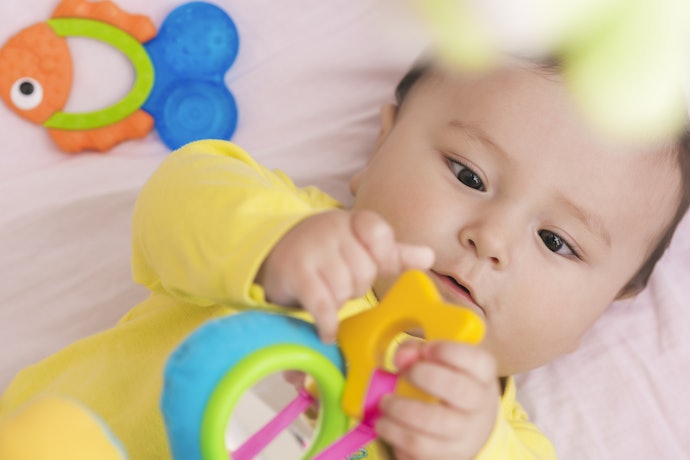 Prevent Risks by Looking for Non-Battery-Operated Chewing Toys
