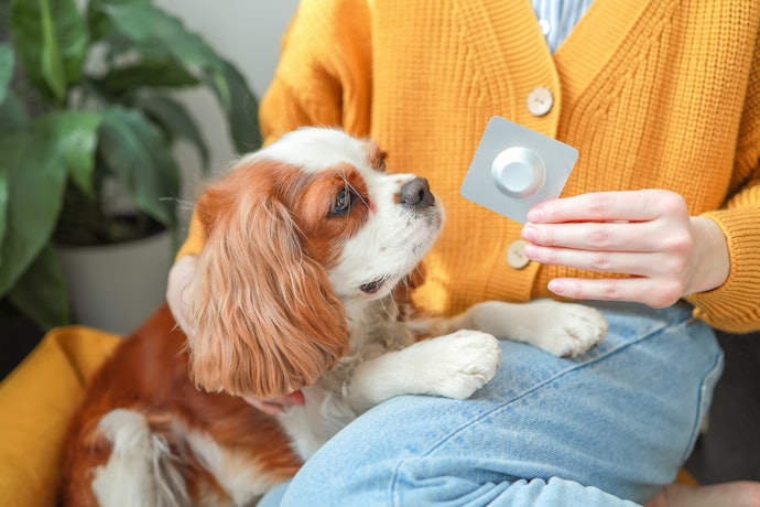 Try Permethrin or Fluralaner for Ticks