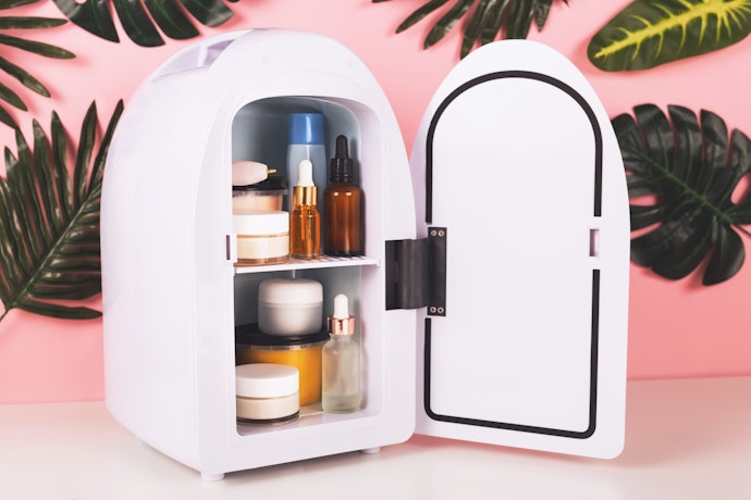 Fridge-Only Model for Personal Use