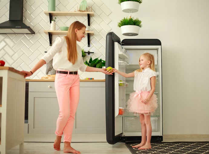 One-Door Fridge: Straightforward and Affordable