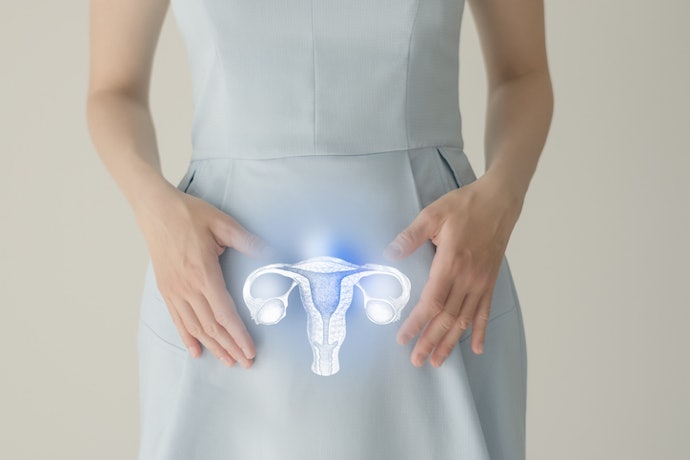 For Vaginal and Urinary Health: Lactobacillus Strains Like L. Rhamnosus and L. Reuteri