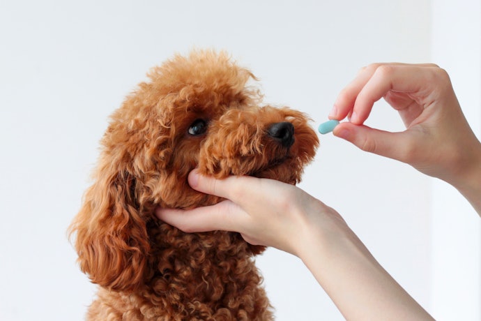 For Hookworms: Go for Products With Febantel or Pyrantel Pamoate