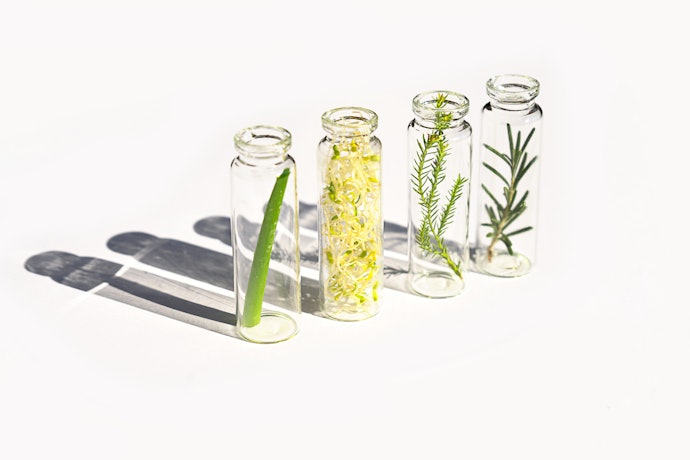 Ingredients Like Aloe vera, Chamomile, and Niacinamide Can Soothe Irritated Skin