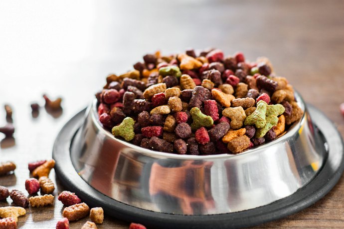 Find High Fiber Content for Healthy Digestion