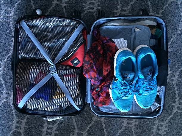 Organized Interiors With Compartments, Dividers, and Straps