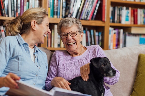 For Memory Retention Support, Choose Ginkgo Biloba With Standardized Extract