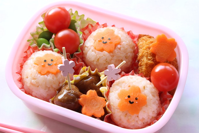 Plastic Lunch Boxes Should Be BPA-Free